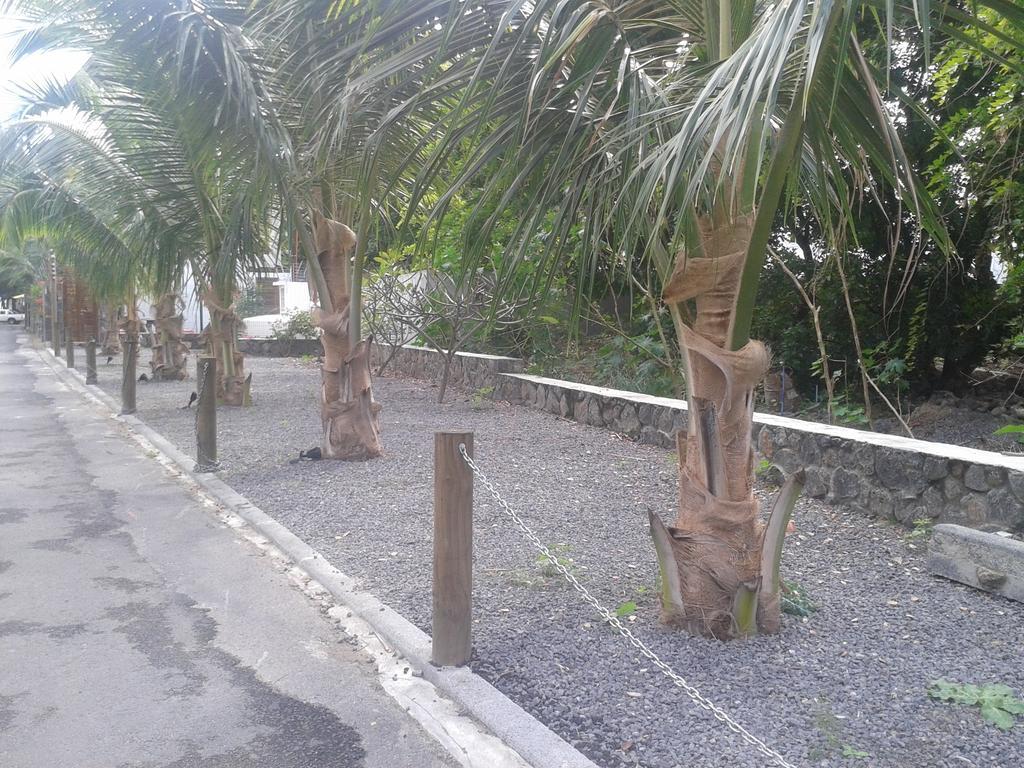 Dodola Lodge Pereybere Beach Eksteriør bilde